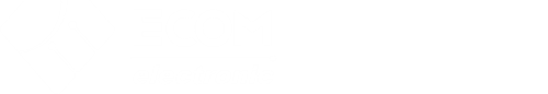 ECOMChips – ECOMChips technology